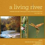 Living River - Charting Wetland Conditions of the Lower Santa Cruz River 2015 Water Year