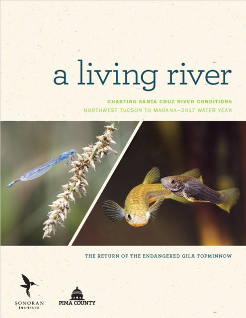 Un Río Vivo: Trazando las Condiciones del Río Santa Cruz del Noroeste de Tucson a Marana (Año Hídrico 2017)
