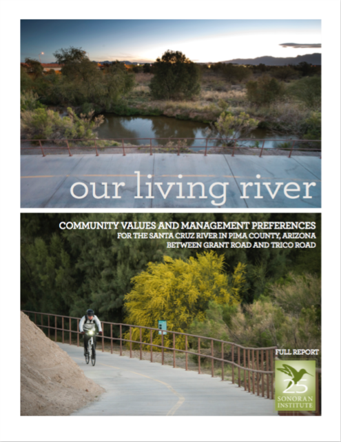 Nuestro Río Vivo: Valores Comunitarios y Preferencias de Gestión (Informe Completo)